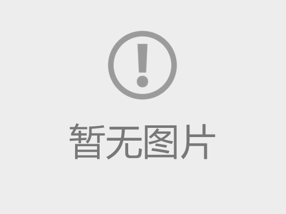 公司簡介